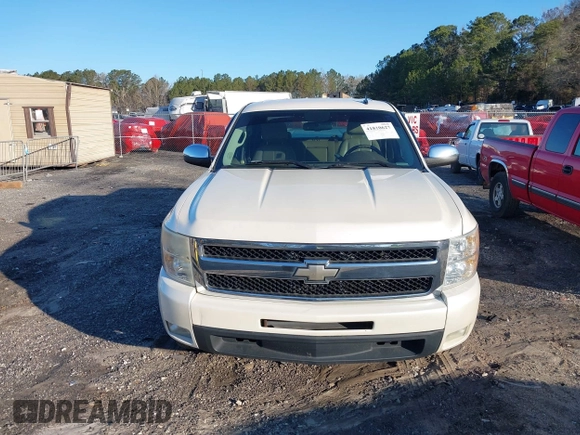 2009 Chevrolet Silverado 1500 with VIN 3GCEC33J49G178179, listed as a IAAI auction lot 41810627 with 205,823 mi miles and . Bid and sale history available at DreamBid. Image 6.