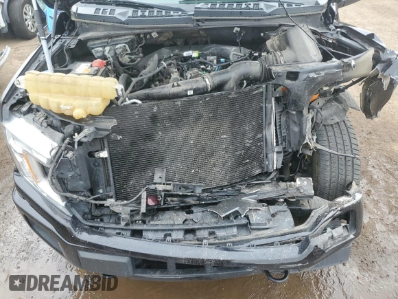 2019 Ford F-150 XL with VIN 1FTEW1EP2KFC06906, listed as a Copart auction lot 51792705 with 80,102 mi miles and Salvage title. Bid and sale history available at DreamBid. Image 12.