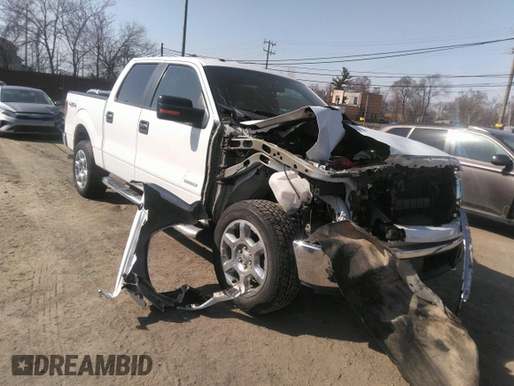 2014 Ford F-150 XL with VIN 1FTFW1ET7EFB56168, listed as a IAAI auction lot 41833365 with 97,720 mi miles and . Bid and sale history available at carsss.com. Image 1.