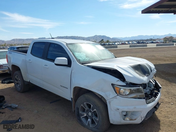 2018 Chevrolet Colorado 2WD Z71 with VIN 1GCGSDEN6J1173358, listed as a IAAI auction lot 41620340 with 93,185 mi miles. Bid and sale history available at carsss.com. Image 13.
