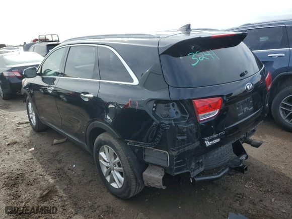 2016 Kia Sorento L with VIN 5XYPG4A39GG059417, listed as a Copart auction lot 50418825 with 145,532 mi miles and Salvage Title. Bid and sale history available at carsss.com. Image 2.