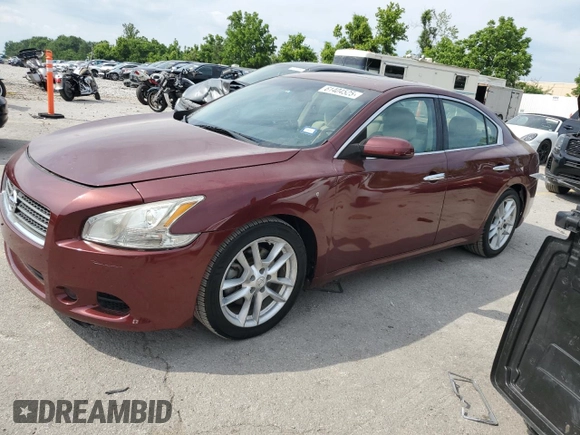 2013 Nissan Maxima SV with VIN 1N4AA5AP0DC803749, listed as a Copart auction lot 61404525 with 209,242 mi miles and Clean title. Bid and sale history available at DreamBid. Image 1.