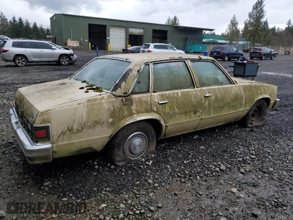 1979 Chevrolet Malibu с VIN 1W19J9K439407, выставлен на аукционе Copart как лот 48776395 с пробегом 47 010 миль миль и Чистый • Clean title. История ставок и продаж доступна на DreamBid. Изображение 3.