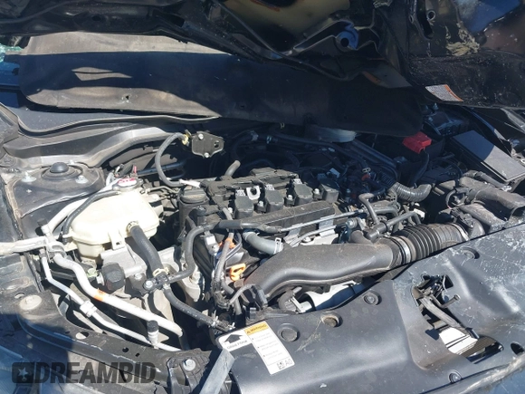 2020 Honda Civic Si with VIN 2HGFC1E58LH708543, listed as a IAAI auction lot 42055171 with Not Provided miles and . Bid and sale history available at DreamBid. Image 10.