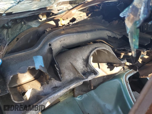 1996 Ford F-150 with VIN 1FTEF15Y0TLC02932, listed as a Copart auction lot 69009794 with Not provided miles and Salvage title. Bid and sale history available at DreamBid. Image 9.