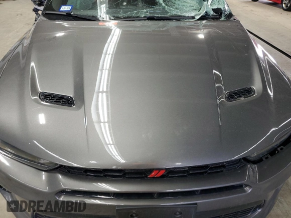 2024 Dodge Hornet GT Plus with VIN ZACNDFBN7R3A12165, listed as a Copart auction lot 49233215 with Not provided miles and Salvage title. Bid and sale history available at DreamBid. Image 12.