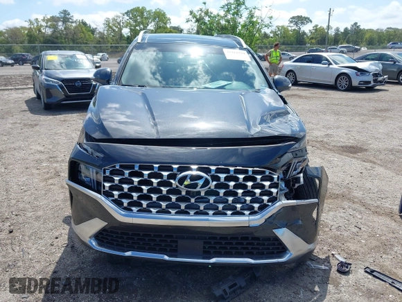 2023 Hyundai Santa Fe SEL with VIN 5NMS34AJ1PH554866, listed as a IAAI auction lot 41912779 with 31,075 mi miles and . Bid and sale history available at DreamBid. Image 12.