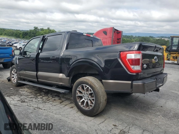 2023 Ford F-150 XL with VIN 1FTEW1C83PFA84267, listed as a Copart auction lot 65042545 with 54,508 mi miles and Salvage title. Bid and sale history available at DreamBid. Image 2.