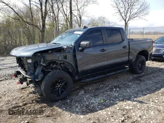 2020 Chevrolet Silverado 1500 Custom Trail Boss with VIN 1GCPYCEF8LZ181032, listed as a Copart auction lot 51064825 with 74,743 mi miles and Salvage Title. Bid and sale history available at DreamBid. Image 1.