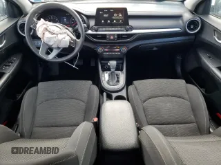 2019 Kia Forte LXS with VIN 3KPF24AD6KE067242, listed as a Copart auction lot 48718705 with 43,998 mi miles and Salvage Title. Bid and sale history available at DreamBid. Image 8.