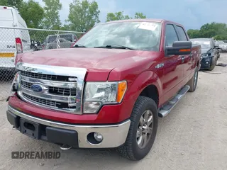2013 Ford F-150 XL with VIN 1FTFW1EF3DKE15271, listed as a IAAI auction lot 42720294 with 230,822 mi miles and . Bid and sale history available at DreamBid. Image 17.