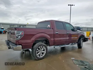 2009 Ford F-150 XL with VIN 1FTRW128X9FA32446, listed as a Copart auction lot 60648505 with 210,587 mi miles and Salvage title. Bid and sale history available at DreamBid. Image 3.