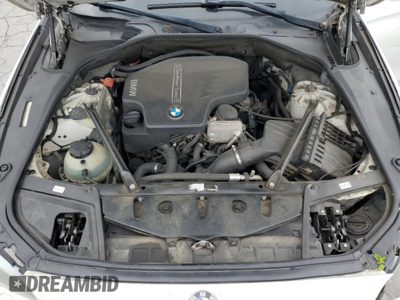 2013 BMW 5 Series 528i with VIN WBAXG5C51DDY31047, listed as a Copart auction lot 52284695 with 188,326 mi miles and Salvage Title. Bid and sale history available at DreamBid. Image 11.