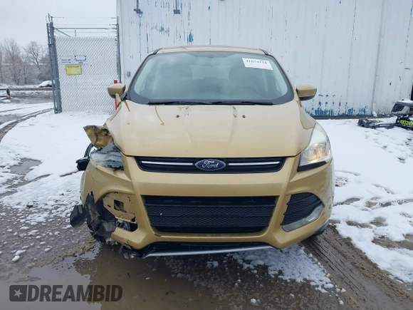 2014 Ford Escape SE with VIN 1FMCU9GX4EUE01300, listed as a IAAI auction lot 41674134 with 136,192 mi miles. Bid and sale history available at carsss.com. Image 12.