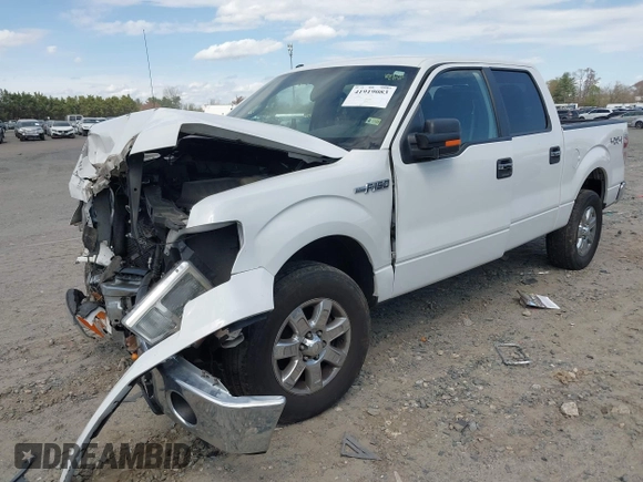 2013 Ford F-150 XL with VIN 1FTFW1EF7DKD34810, listed as a IAAI auction lot 41919083 with 158,531 mi miles. Bid and sale history available at carsss.com. Image 2.