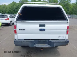 2010 Ford F-150 XL with VIN 1FTEX1EW5AFD30929, listed as a IAAI auction lot 42568100 with 183,708 mi miles and . Bid and sale history available at DreamBid. Image 16.