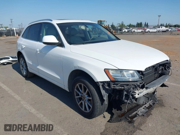 2009 Audi Q5 Premium Plus with VIN WA1KK78R39A052089, listed as a IAAI auction lot 42465851 with 142,913 mi miles and . Bid and sale history available at DreamBid. Image 1.