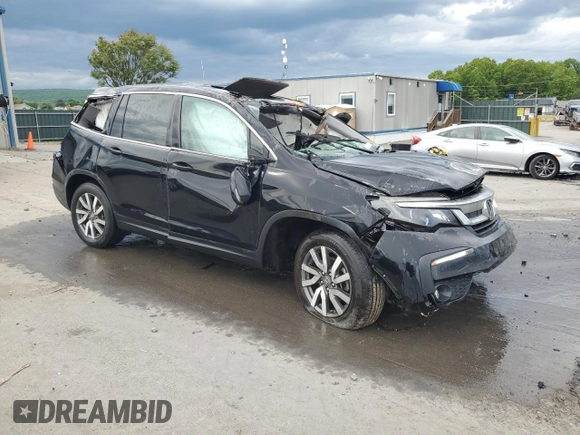2019 Honda Pilot EX-L with VIN 5FNYF6H57KB062648, listed as a Copart auction lot 57566015 with Not provided miles and Salvage title. Bid and sale history available at DreamBid. Image 4.
