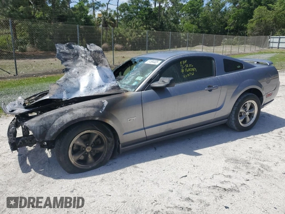 2006 Ford Mustang GT Deluxe with VIN 1ZVFT82H665230721, listed as a Copart auction lot 51584405 with 0 mi miles and Non Repairable. Bid and sale history available at carsss.com. Image 1.