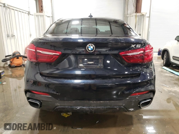 2017 BMW X6 xDrive35i with VIN 5UXKU2C33H0X46919, listed as a Copart auction lot 39154864 with Not Provided miles and . Bid and sale history available at DreamBid. Image 6.