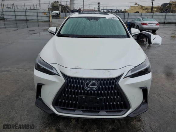 2022 Lexus NX with VIN JTJGKCEZ6N2000238, listed as a Copart auction lot 43789825 with NaN miles and Salvage Title. Bid and sale history available at carsss.com. Image 5.
