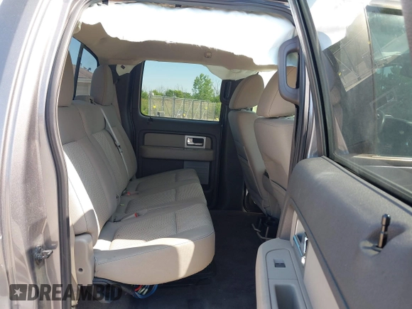 2010 Ford F-150 XL with VIN 1FTEW1E83AFD18282, listed as a IAAI auction lot 42653428 with 207,118 mi miles and . Bid and sale history available at DreamBid. Image 8.