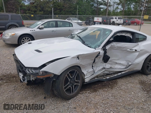 2023 Ford Mustang EcoBoost с VIN 1FA6P8TH2P5110069, выставлен на аукционе IAAI как лот 41941535 с пробегом Не указан миль и . История ставок и продаж доступна на DreamBid. Изображение 6.