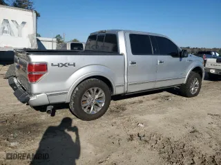 2013 Ford F-150 XL with VIN 1FTFW1ETXDFA08207, listed as a Copart auction lot 48905255 with 0 mi miles and Clean Title. Bid and sale history available at carsss.com. Image 3.