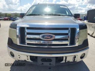 2009 Ford F-150 XL with VIN 1FTRW12889FB01747, listed as a Copart auction lot 62402315 with 332,253 mi miles and Clean title. Bid and sale history available at DreamBid. Image 5.