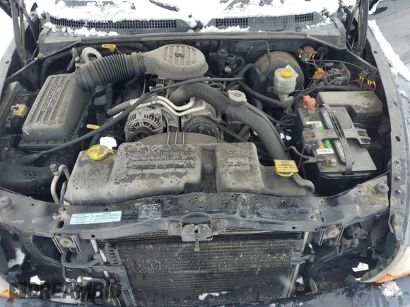 2000 Dodge Dakota SLT with VIN 1B7GG22X1YS504086, listed as a Copart auction lot 44283195 with 137,272 mi miles and Clean Title. Bid and sale history available at DreamBid. Image 11.