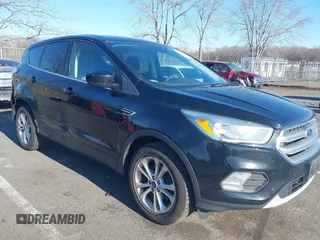2017 Ford Escape SE with VIN 1FMCU0GD8HUE44687, listed as a IAAI auction lot 41693772 with 132,701 mi miles. Bid and sale history available at carsss.com. Image 6.