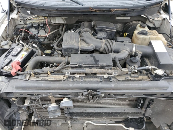 2009 Ford F-150 XLT with VIN 1FTRX12V99KB23041, listed as a Copart auction lot 44536575 with Not provided miles and Salvage title. Bid and sale history available at DreamBid. Image 11.