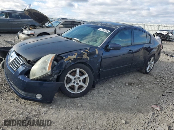 2005 Nissan Maxima 3.5 SL with VIN 1N4BA41E65C829951, listed as a Copart auction lot 81616234 with 0 mi miles and Salvage Title. Bid and sale history available at carsss.com. Image 1.