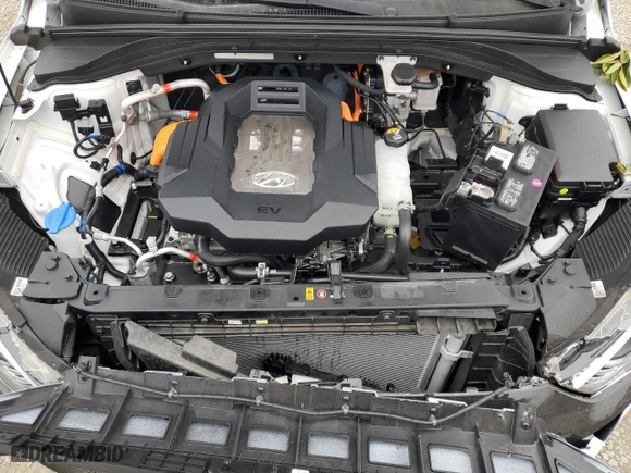 2019 Hyundai Ioniq Electric with VIN KMHC75LH1KU044331, listed as a Copart auction lot 76345554 with 28,641 mi miles and Salvage Title. Bid and sale history available at carsss.com. Image 12.