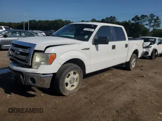 2013 Ford F-150 XL with VIN 1FTFW1CF3DFA68682, listed as a Copart auction lot 61295665 with 139,134 mi miles and Salvage title. Bid and sale history available at DreamBid. Image 1.