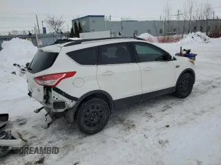 2014 Ford Escape SE with VIN 1FMCU9G99EUD90182, listed as a Copart auction lot 44133645 with 183,122 mi miles and Salvage Title. Bid and sale history available at DreamBid. Image 3.