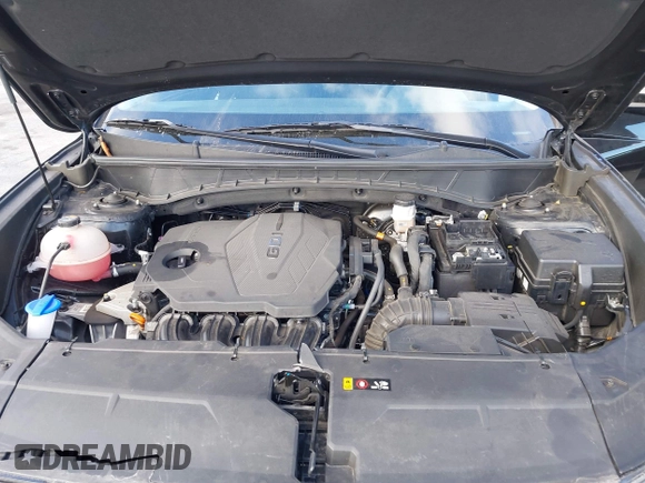 2024 Hyundai Tucson SE with VIN 5NMJA3DE1RH352929, listed as a IAAI auction lot 41566264 with 44,980 mi miles and . Bid and sale history available at DreamBid. Image 10.