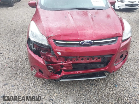 2013 Ford Escape SE with VIN 1FMCU0GXXDUB14120, listed as a IAAI auction lot 42060145 with 171,758 mi miles. Bid and sale history available at carsss.com. Image 6.
