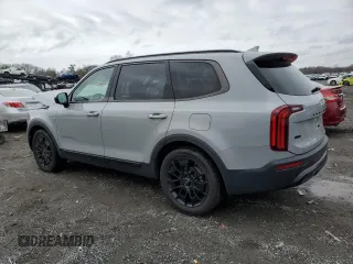 2022 Kia Telluride SX with VIN 5XYP5DHC3NG288104, listed as a Copart auction lot 52617285 with 30,312 mi miles and Salvage Title. Bid and sale history available at DreamBid. Image 2.