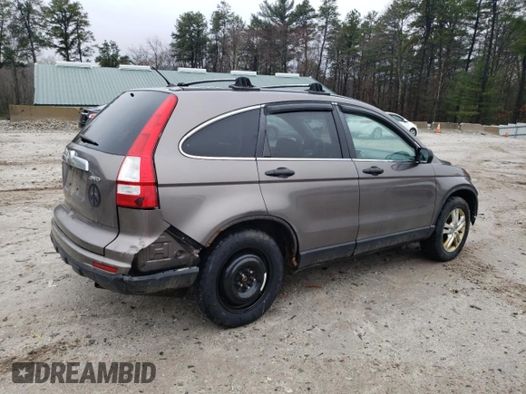 2010 Honda CR-V EX with VIN 5J6RE4H5XAL068428, listed as a Copart auction lot 50313655 with 168,519 mi miles and Clean Title. Bid and sale history available at carsss.com. Image 3.
