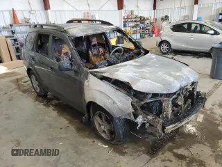 2010 Subaru Forester 2.5X with VIN JF2SH6BC2AH902732, listed as a Copart auction lot 44207915 with 0 mi miles and Non Repairable. Bid and sale history available at carsss.com. Image 4.