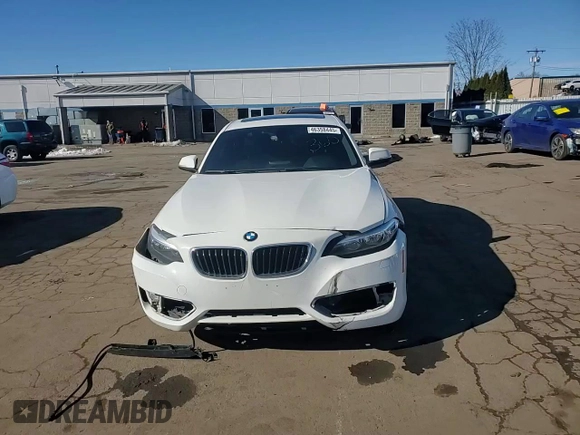 2016 BMW 2 Series 228i xDrive with VIN WBA1G9C53GV599689, listed as a Copart auction lot 46358445 with 104,429 mi miles and Salvage title. Bid and sale history available at DreamBid. Image 11.
