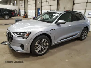 2021 Audi e-tron Premium Plus with VIN WA1LAAGE8MB015982, listed as a Copart auction lot 47356315 with 43,618 mi miles and Non Repairable. Bid and sale history available at carsss.com. Image 1.