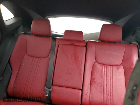 2025 Lexus NX with VIN 2T2GDCAZ1SC020425, listed as a Copart auction lot 74792664 with 252 mi miles and Non Repairable. Bid and sale history available at carsss.com. Image 10.