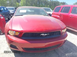 2010 Ford Mustang V6 with VIN 1ZVBP8EN4A5175330, listed as a IAAI auction lot 42049398 with 111,339 mi miles. Bid and sale history available at carsss.com. Image 6.
