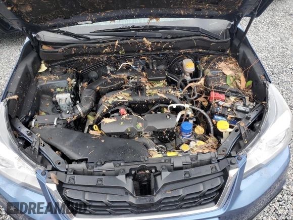 2017 Subaru Forester Limited with VIN JF2SJALC1HH805683, listed as a Copart auction lot 62184012 with 0 mi miles. Bid and sale history available at carsss.com. Image 7.