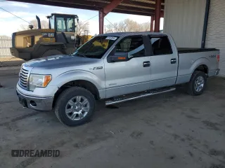 2011 Ford F-150 XLT z VIN 1FTFW1ET0BFD30450, wystawiony jako Copart lot #50469945 z przebiegiem 168 775 mil mil oraz Szkoda całkowita • Salvage title. Historia ofert i sprzedaży dostępna na DreamBid. Obrazek 1.