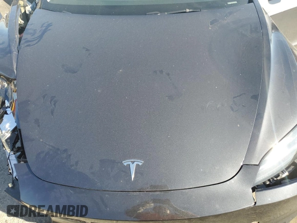 2025 Tesla Model 3 Long Range with VIN 5YJ3E1EA6SF895973, listed as a Copart auction lot 50271855 with Not Provided miles and Salvage Title. Bid and sale history available at DreamBid. Image 11.