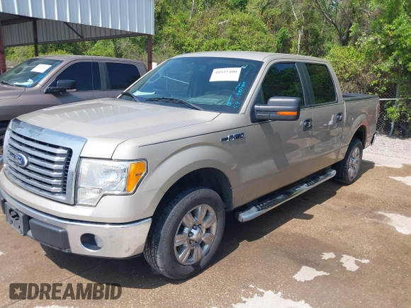 2010 Ford F-150 XL with VIN 1FTEW1C87AFD11189, listed as a IAAI auction lot 41927400 with 143,851 mi miles. Bid and sale history available at carsss.com. Image 21.