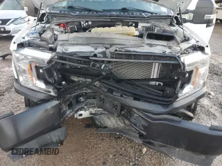 2020 Ford F-150 with VIN 1FTEW1P41LKF21496, listed as a Copart auction lot 81528664 with Not provided miles and Salvage title. Bid and sale history available at DreamBid. Image 11.